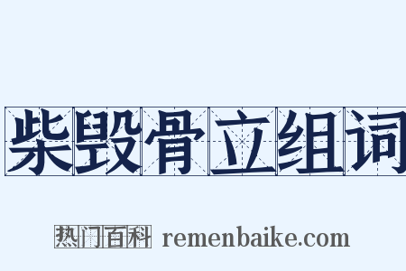 柴毁骨立组词是什么意思的图片